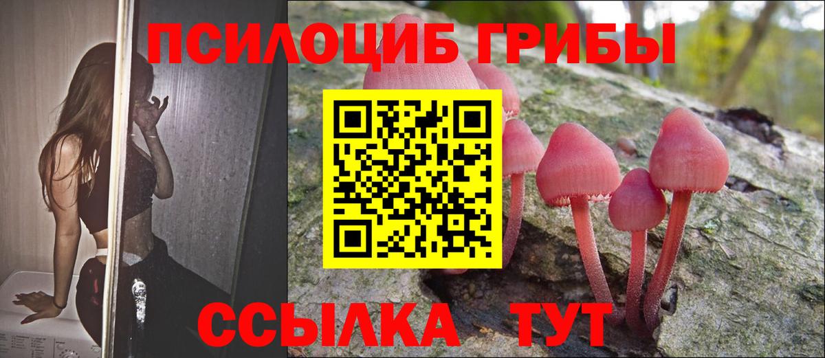 Троицк  наркотики  Вход с VPN  Псилоцибиновые грибы Psilocybine cubensis 